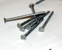 photo of medium head nails