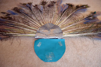 peacock tail
