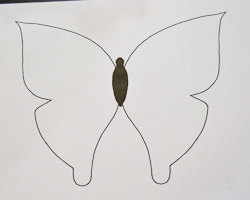 butterfly pattern