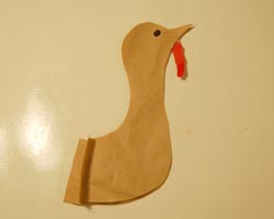 turkey head