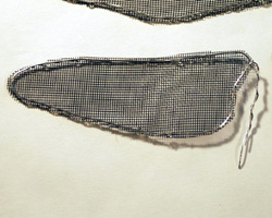 close up of wing