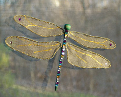 dragonfly