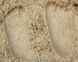 footprints in the sand