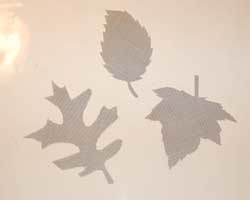 autumn leaf craft