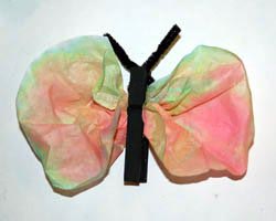 coffee filter butterfly