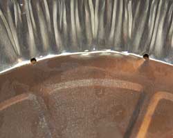 handprint plaque handprint plaque