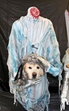 Headless Ghost Dog Costume