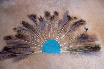 homemade peacock costume
