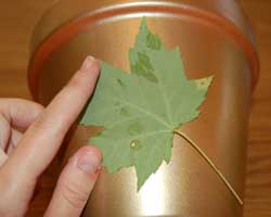 leaf stenciled flower pot