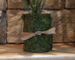 moss covered vases