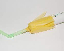 tissue daffodils