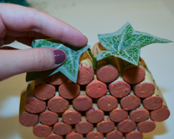 gluing leaves