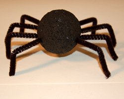 spider craft