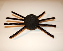 spider craft