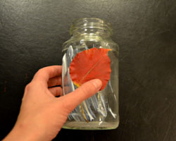 decoupage leaves