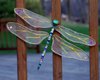 window screen dragonfly craft