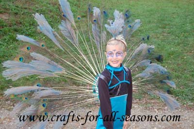 homemade peacock costume