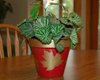 leaf stenciled flower pot