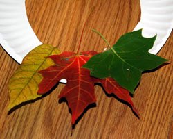 leaf wreath