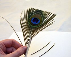 peacock feather earrings