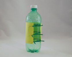 pop bottle craft