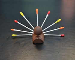 Q-tip turkey