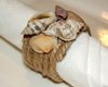 seashell napkin rings