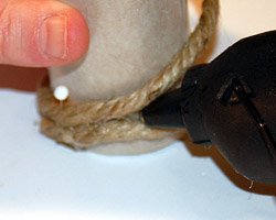 seashell napkin rings