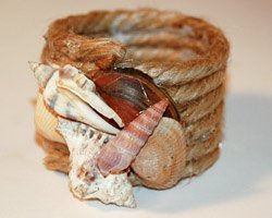 seashell napkin rings