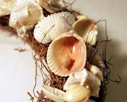 seashell wreath