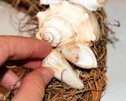 seashell wreath