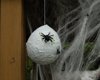 spider nest craft